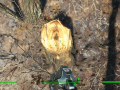 Fallout4 2015-11-10 22-22-25-83.png